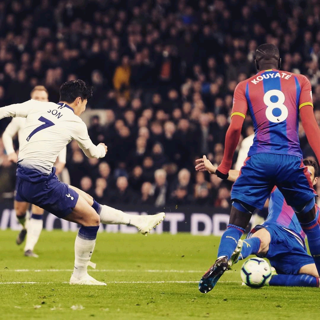 这种忠诚精 这种忠诚精