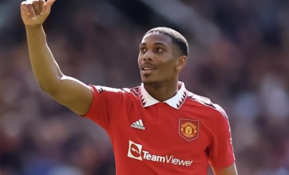 在儿时埋下 在儿时埋下